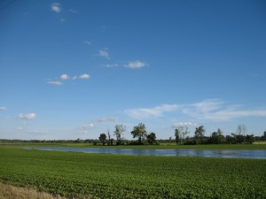 Farmland Off Highway 94